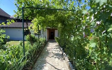 Single house - image - 28