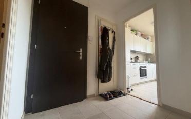 Wohnung 2.5 Zimmer - image - 5