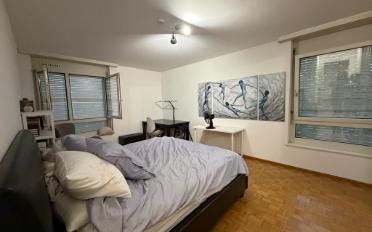 Apartment 7 rooms - image - 7
