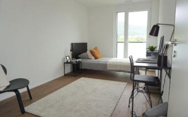 Wohnung 3 Zimmer - image - 6