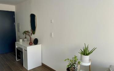 Wohnung 2.5 Zimmer - image - 4