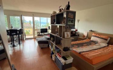 Apartment 1 room - image - 4