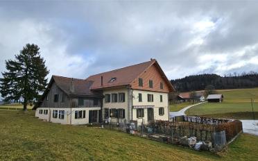 Farm house 11 rooms - image - 10