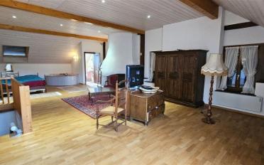 Farm house 11 rooms - image - 7