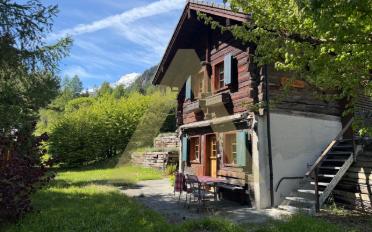 Chalet 2 Zimmer - image - 9