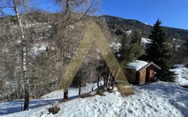 Chalet 2 Zimmer - image - 11