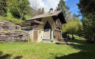 Chalet 2 pièces - image - 10