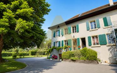 Wohnung ein Zimmer - image - 1
