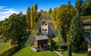 Chalet 18 rooms - image - 3
