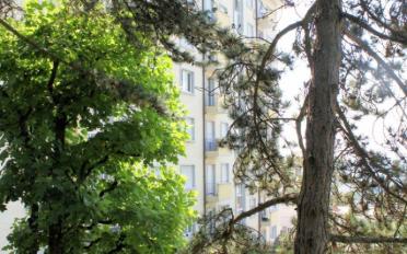 Apartment 2.5 rooms - image - 10