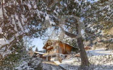Chalet 5.5 pièces - image - 9
