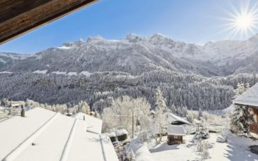 Chalet 16 pièces - image - 5
