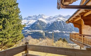 Chalet 9 rooms - image - 12