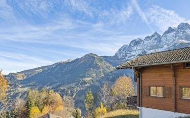 Chalet 6.5 pièces - image - 5