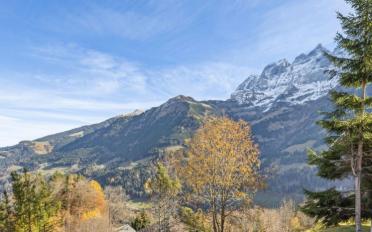 Chalet 6.5 pièces - image - 10