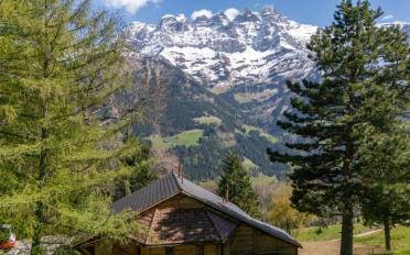 Chalet 6.5 pièces - image - 5