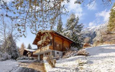 Chalet 5.5 pièces - image - 8