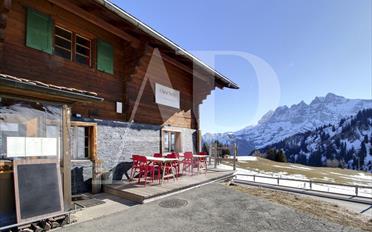 Chalet 11 pièces - image - 2