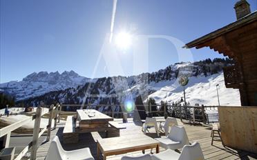 Chalet 11 pièces - image - 10