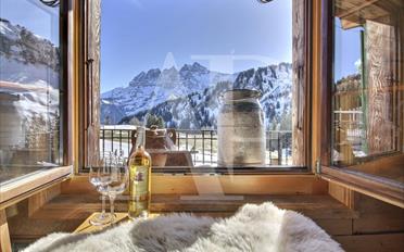 Chalet 11 pièces - image - 1