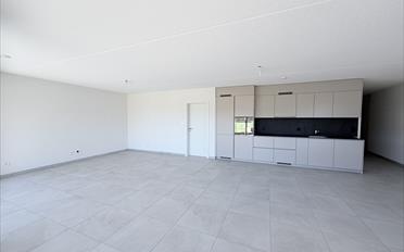 Wohnung 2.5 Zimmer - image - 4