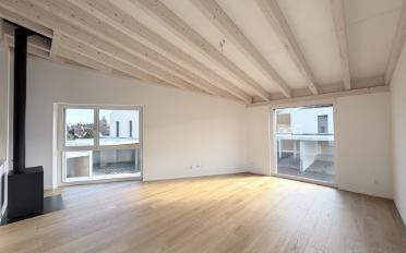 Villa 5.5 pièces - image - 11