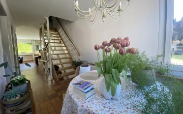 Terrace house - image - 10