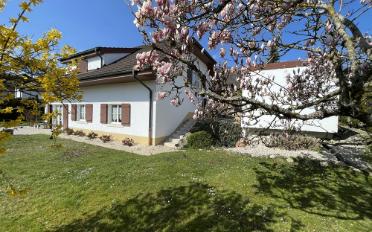 Einfamilienhaus 5.5 Zimmer - image - 3