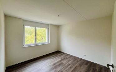 Wohnung 4.5 Zimmer - image - 8