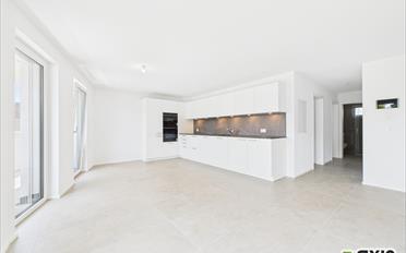 Wohnung 4.5 Zimmer - image - 2