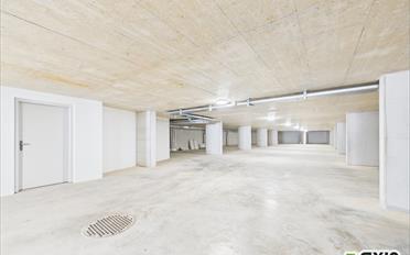 Wohnung 4.5 Zimmer - image - 5