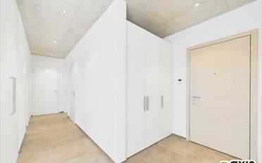 Wohnung 3.5 Zimmer - image - 8