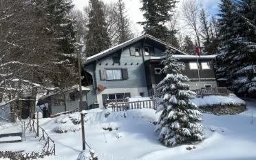 Chalet 4.5 Zimmer - image - 1