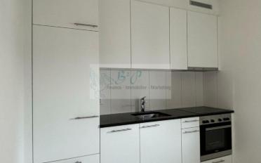 Wohnung 2.5 Zimmer - image - 1