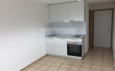 Appartement 1.5 pièces - image - 3