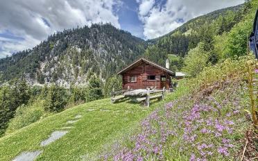 Chalet 3 Zimmer - image - 1