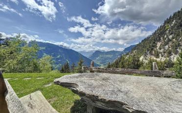 Chalet 3 Zimmer - image - 3