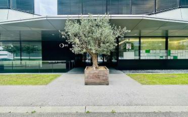 Bureau - image - 7