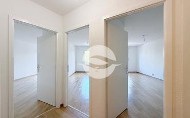 Wohnung 5 Zimmer - image - 4