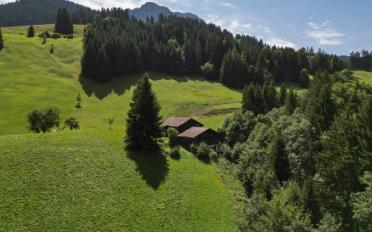 Chalet 6 pièces - image - 10