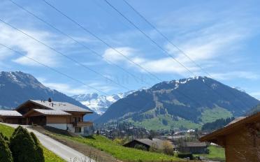 Chalet 10 rooms - image - 6