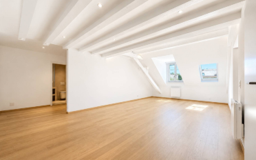 Attic flat 5.5 rooms - image - 3