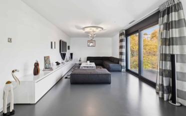 Attic flat 9.5 rooms - image - 7
