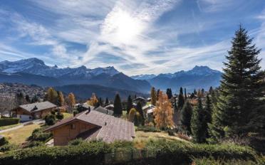 Chalet 9.5 pièces - image - 12