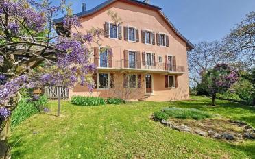 Single house 15 rooms - image - 4