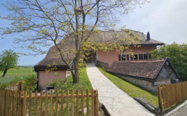 Single house 15 rooms - image - 6