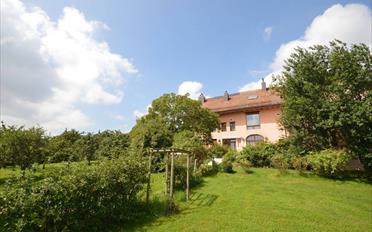 Single house 15 rooms - image - 9