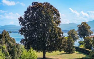Villa 10 pièces - image - 12