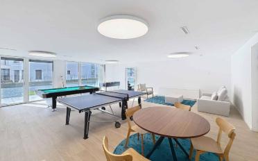 Wohnung 3.5 Zimmer - image - 7