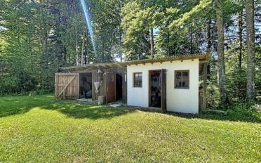 Chalet 4.5 Zimmer - image - 9